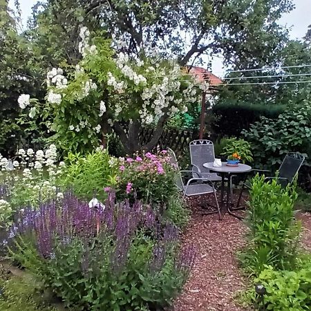 Spatzennest Wernigerode Dış mekan fotoğraf