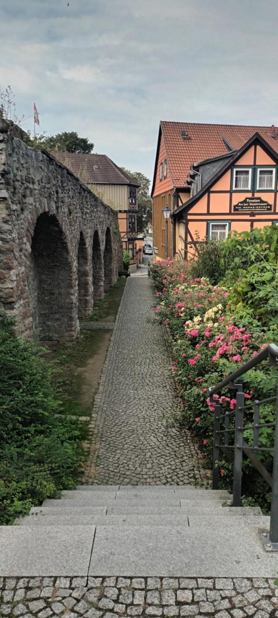 Spatzennest Wernigerode Dış mekan fotoğraf